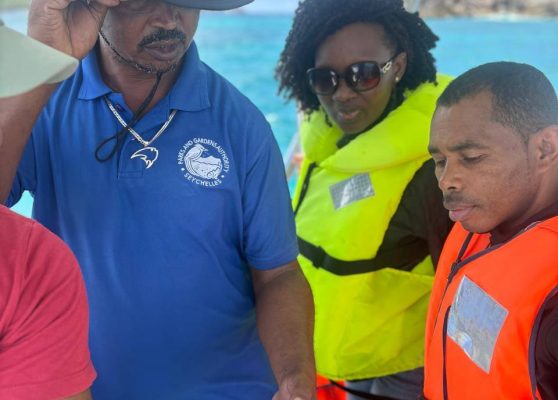 540839612_122160617804401680_1283278643912050248_n 540839612_122160617804401680_1283278643912050248_n